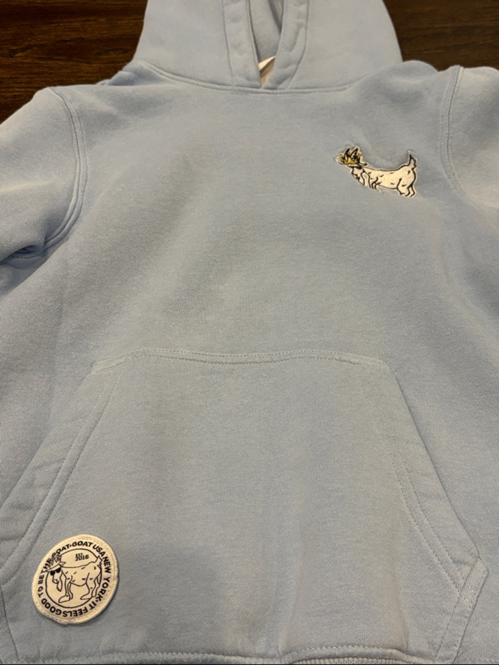 GOAT USA Boys Light Blue Pullover Hoodie Size Medium - Picture 4 of 5